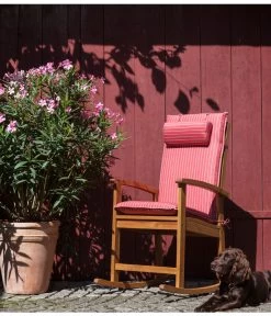 XXL Oleander, Verschiedene Sorten, Ca. 130-150 Cm 9 XXL Oleander, Verschiedene Sorten, Ca. 130-150 Cm -Gartenpflanzen Verkauf 8596900 WE MO 002 OleanderSolitaerDehnerSchaukelstuhlDakota