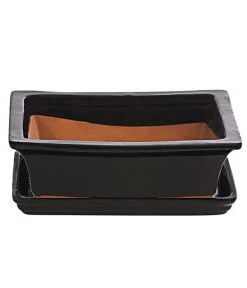 Dehner Keramik-Bonsaischale, Rechteckig, Schwarz, Ca. B25/H12 Cm