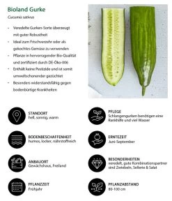 Bioland Gurke, Veredelt -Gartenpflanzen Verkauf 8830853 WE IG 001 BiolandGurke