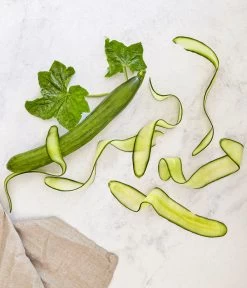 Bioland Gurke, Veredelt -Gartenpflanzen Verkauf 8830853 WE MO 001 SchlangengurkeveredeltRenner