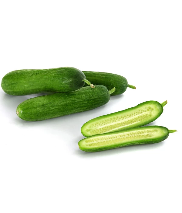 Snackgurke 3 Snackgurke – Bild 3