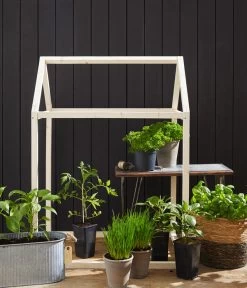 Cherrytomate 'Pepe' 8 Cherrytomate 'Pepe' -Gartenpflanzen Verkauf 8839243 8839243 8839201 8839185 8002271 8843781 8002578 WE MO 004 Fruehlingsshooting