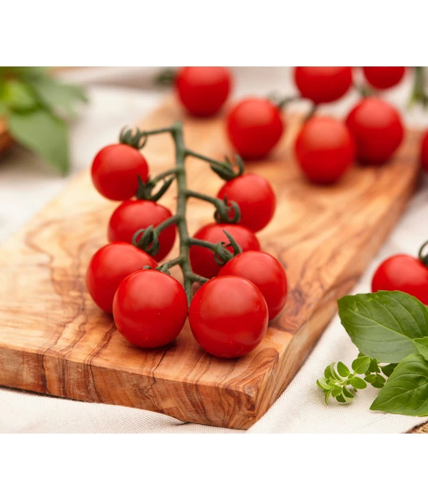 Cherrytomate 'Pepe' 1 Cherrytomate 'Pepe'