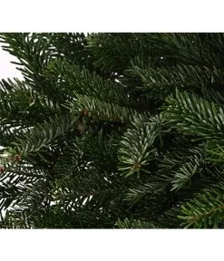 Nordmann-Tanne, Ca. 80-100 Cm, Im Topf Gewachsen -Gartenpflanzen Verkauf 8995938 WE DE 003 AbiesNordmanniananNordmanntanne80 100DehnerExpressHerzig