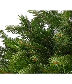 Nordmann-Tanne, Ca. 125-150 Cm, Im Topf Gewachsen -Gartenpflanzen Verkauf 8995946 WE DE 001 AbiesNordmannianaNordmanntanne125 150Co8LDehnerExpressHerzig