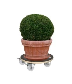 Wagner Pflanzroller MaxiGrip, Ø 38 Cm 13 Wagner Pflanzroller MaxiGrip, Ø 38 Cm -Gartenpflanzen Verkauf X001545771 BildD 001 Multirollermaxi58